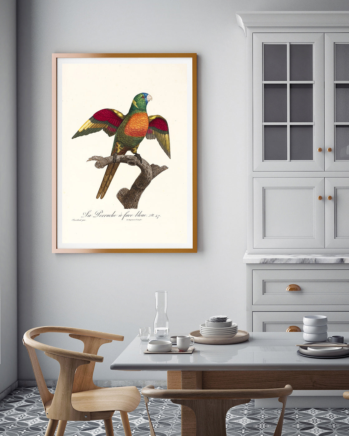 François Levaillant - Bunter Paradiesvogel