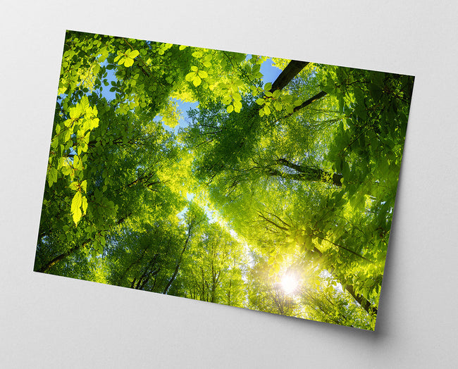 Baumkronen Main Image