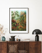 Ernst Haeckel - Botanik