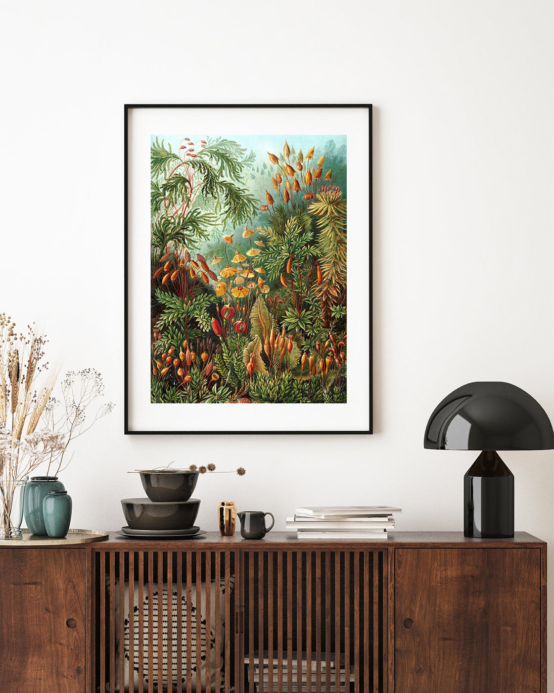 Ernst Haeckel - Botanik