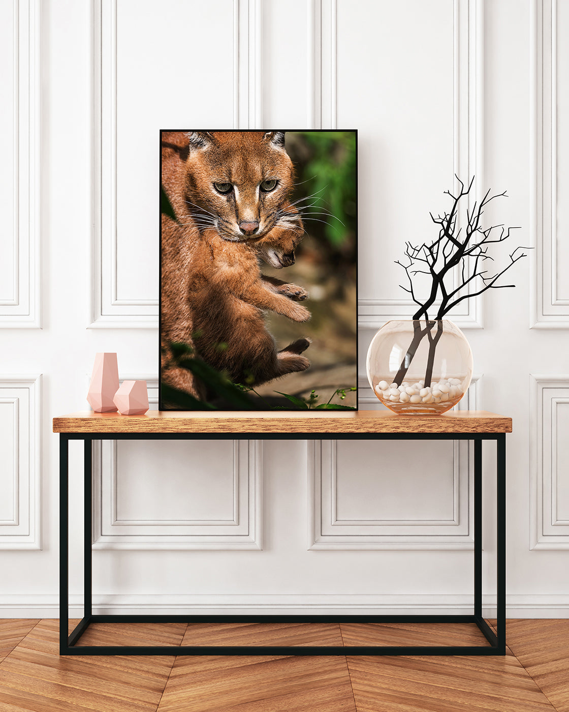 Karakal-Katze mit Baby