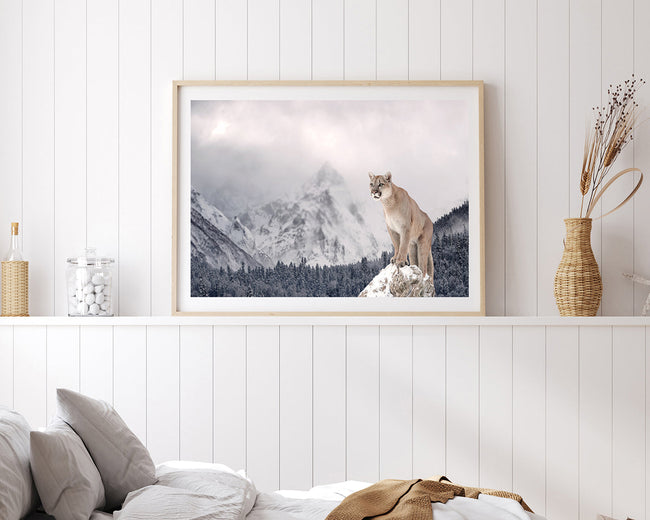 Puma in Berglandschaft Main Image