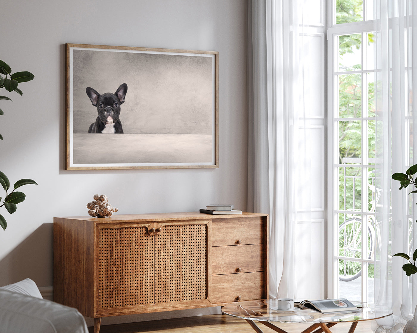 Schwarze französische Bulldogge