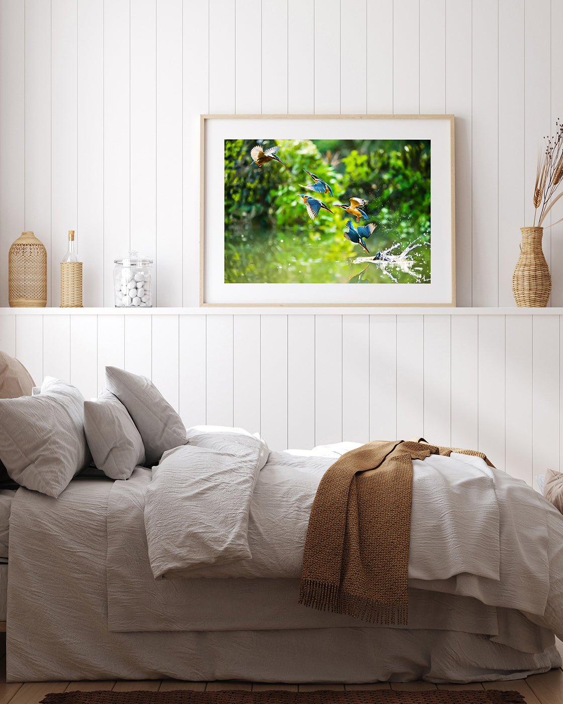 Eisvögel auf der Jagd