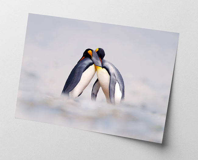 Kuschelnde Pinguine Main Image