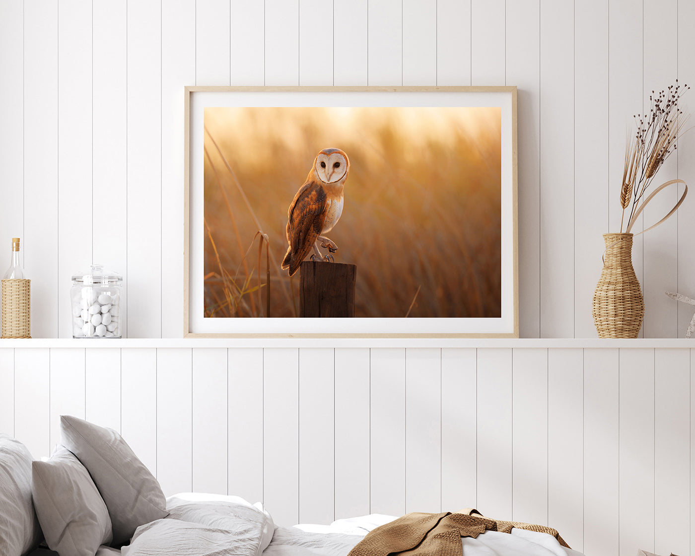 Eule in Sommerlandschaft