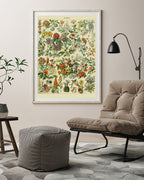 Adolphe Philippe Millot - Vintage Blumen-Übersicht