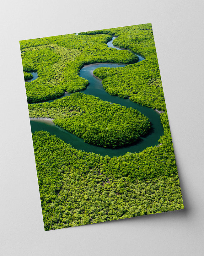 Fluss im Regenwald Main Image