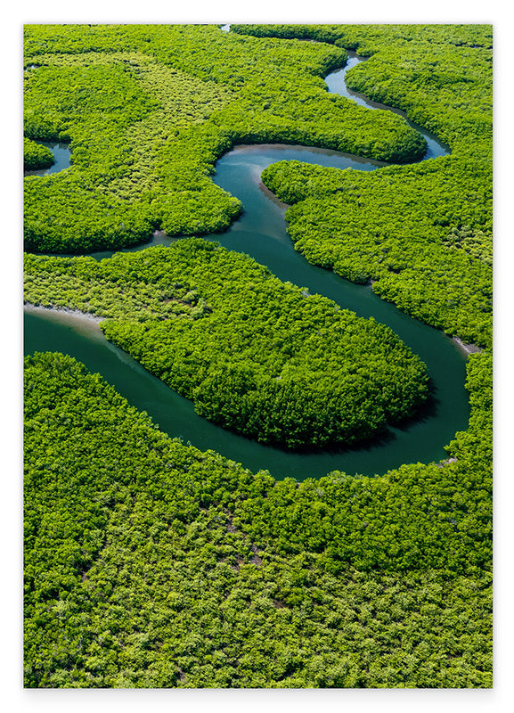 Fluss im Regenwald Hover Image