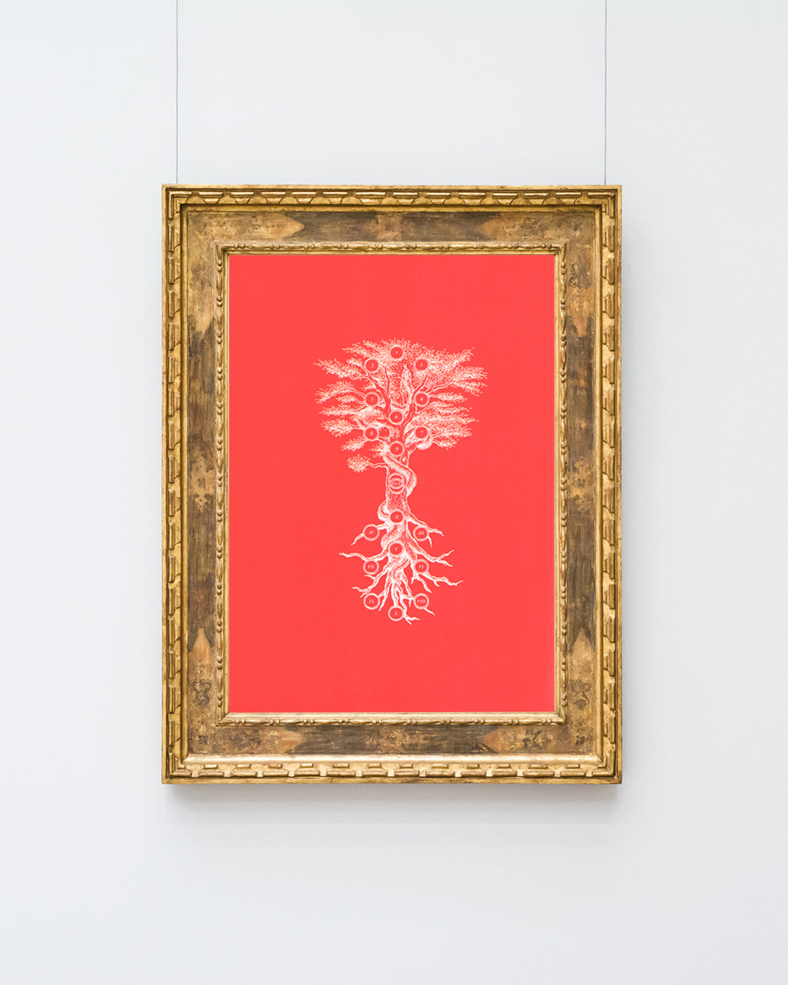 Energiefelder im Baum