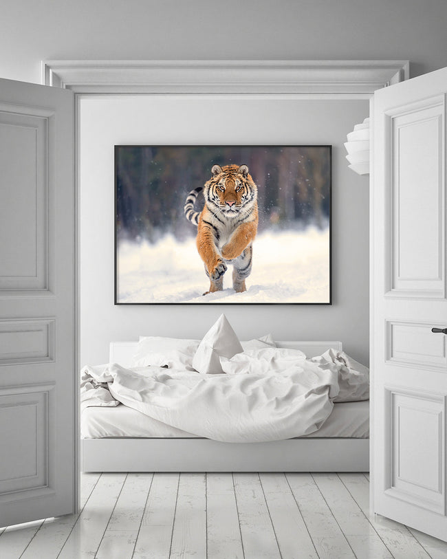 Springender Tiger im Schnee Main Image