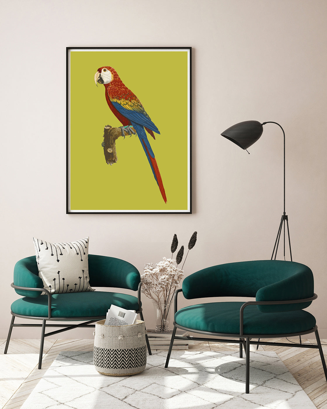 François Levaillant - Roter Ara