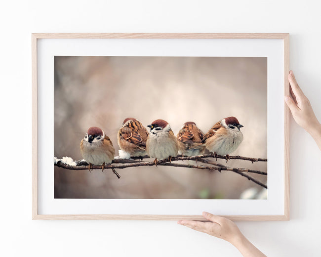 Spatzen auf einem Ast Main Image