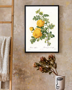 Rosenstrauch mit gelben Blüten