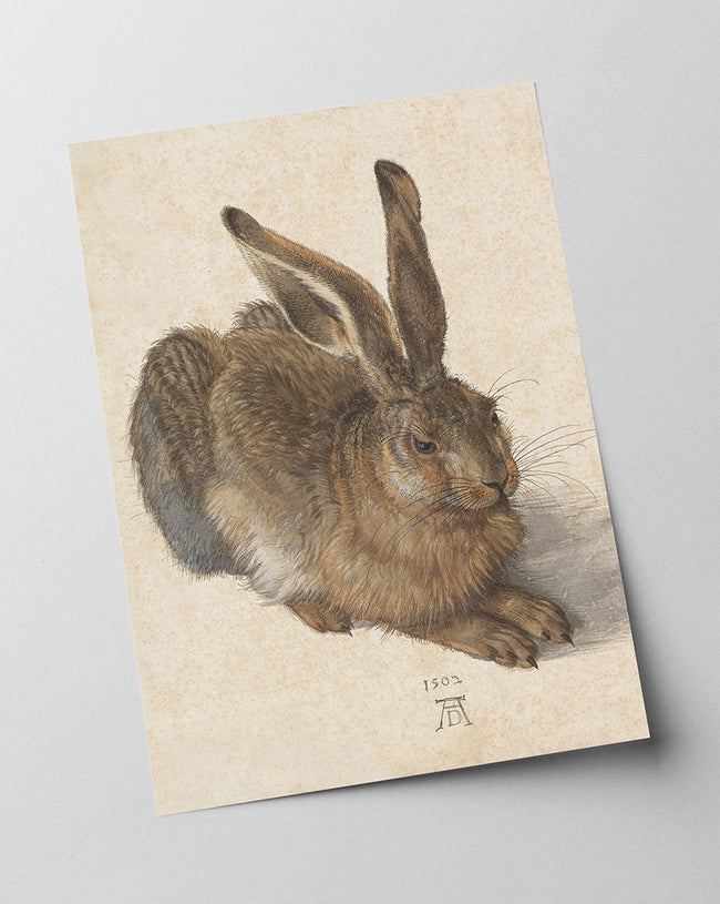 Albrecht Dürer - Feldhase Main Image