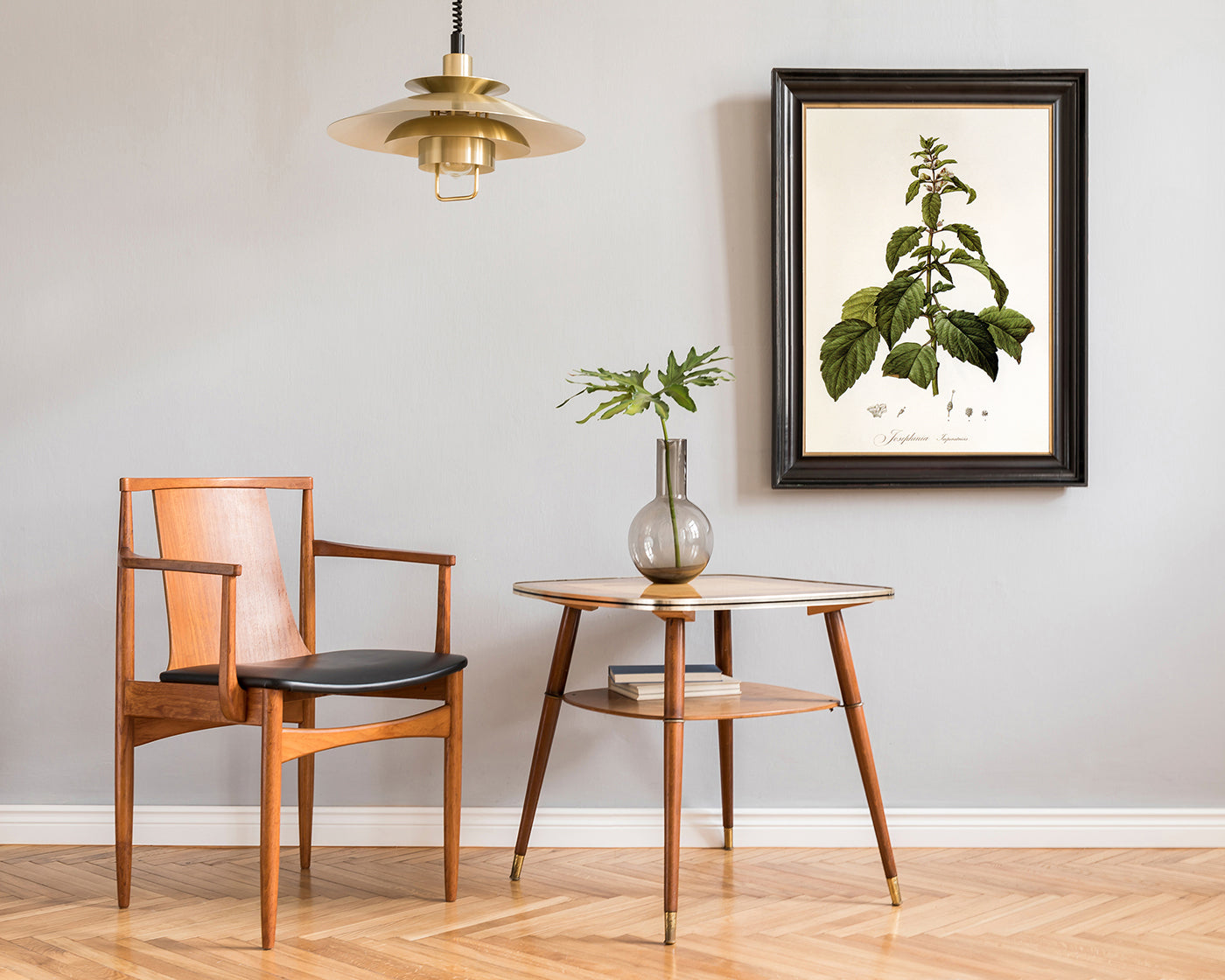 Josephinia imperatricis