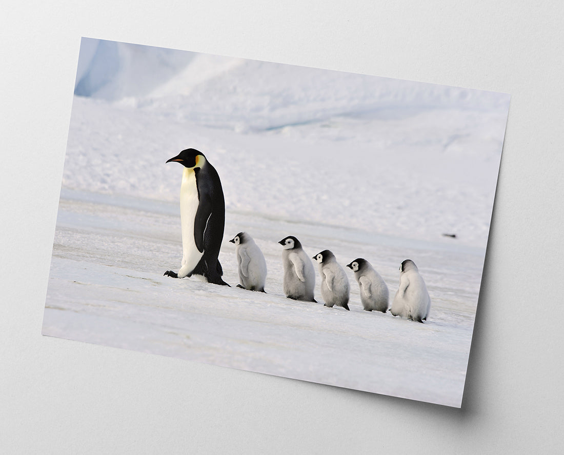 Pinguin-Mama mit Küken