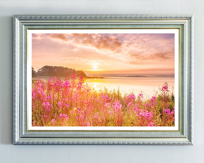 Blumen am See Main Image