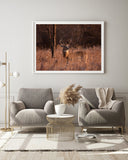 Hirsch in Abendstimmung