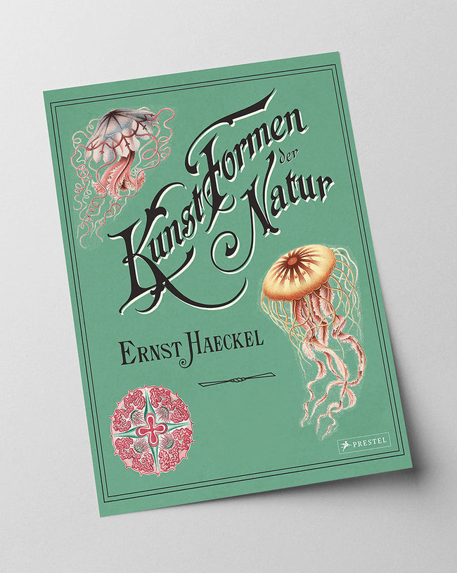 Ernst Haeckel - Kunstformen der Natur Main Image