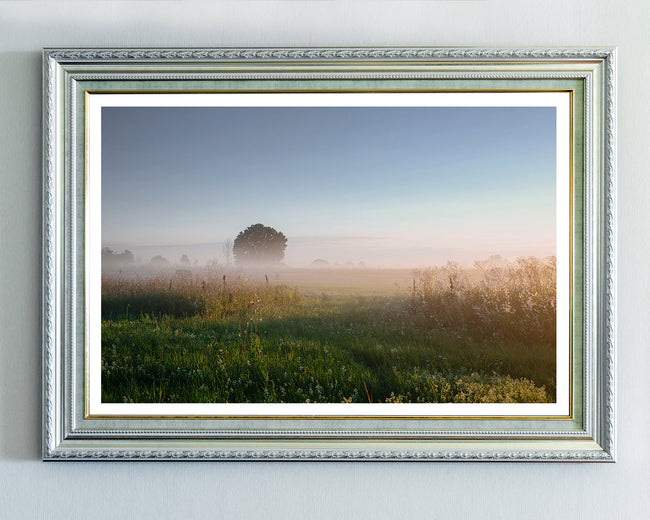 Feld im Nebel Main Image