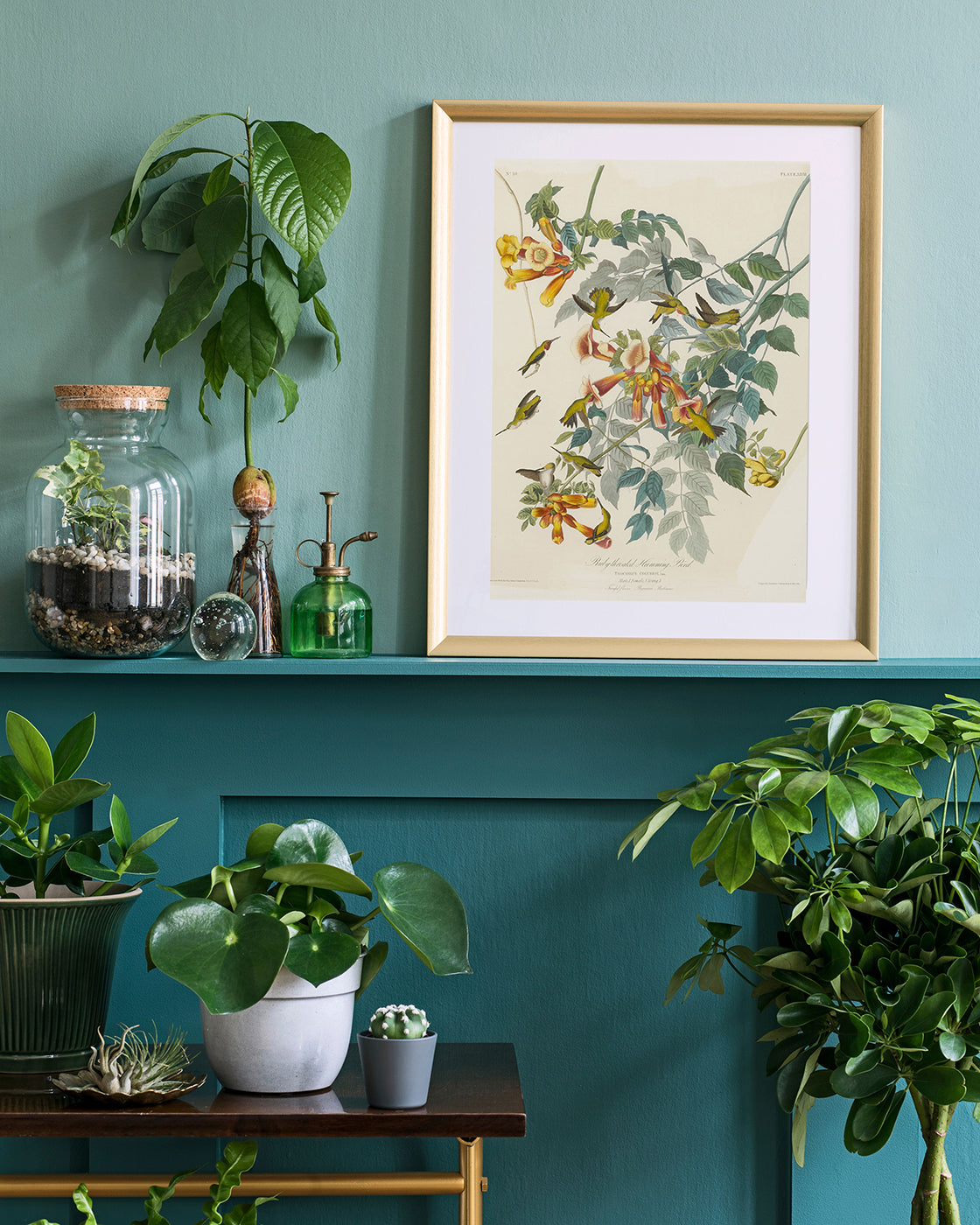 John James Audubon - Kolibris auf Nektarsuche