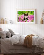 Katzen-Baby in Blumenwiese