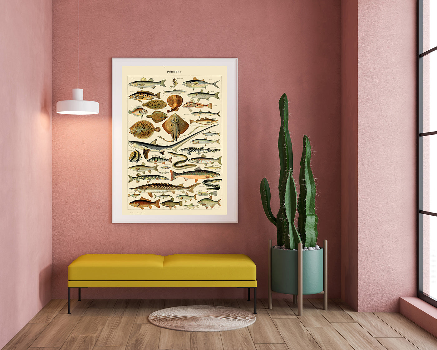 Adolphe Philippe Millot - Fische