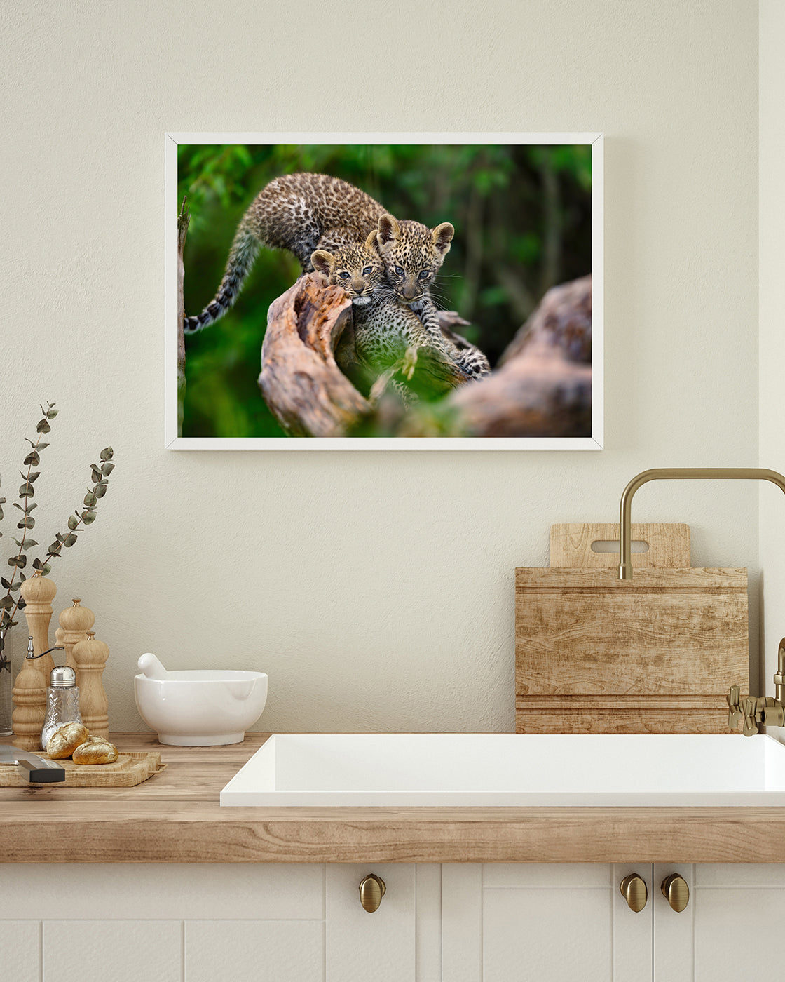 Süße Leoparden-Babies