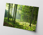 Wald-Landschaft