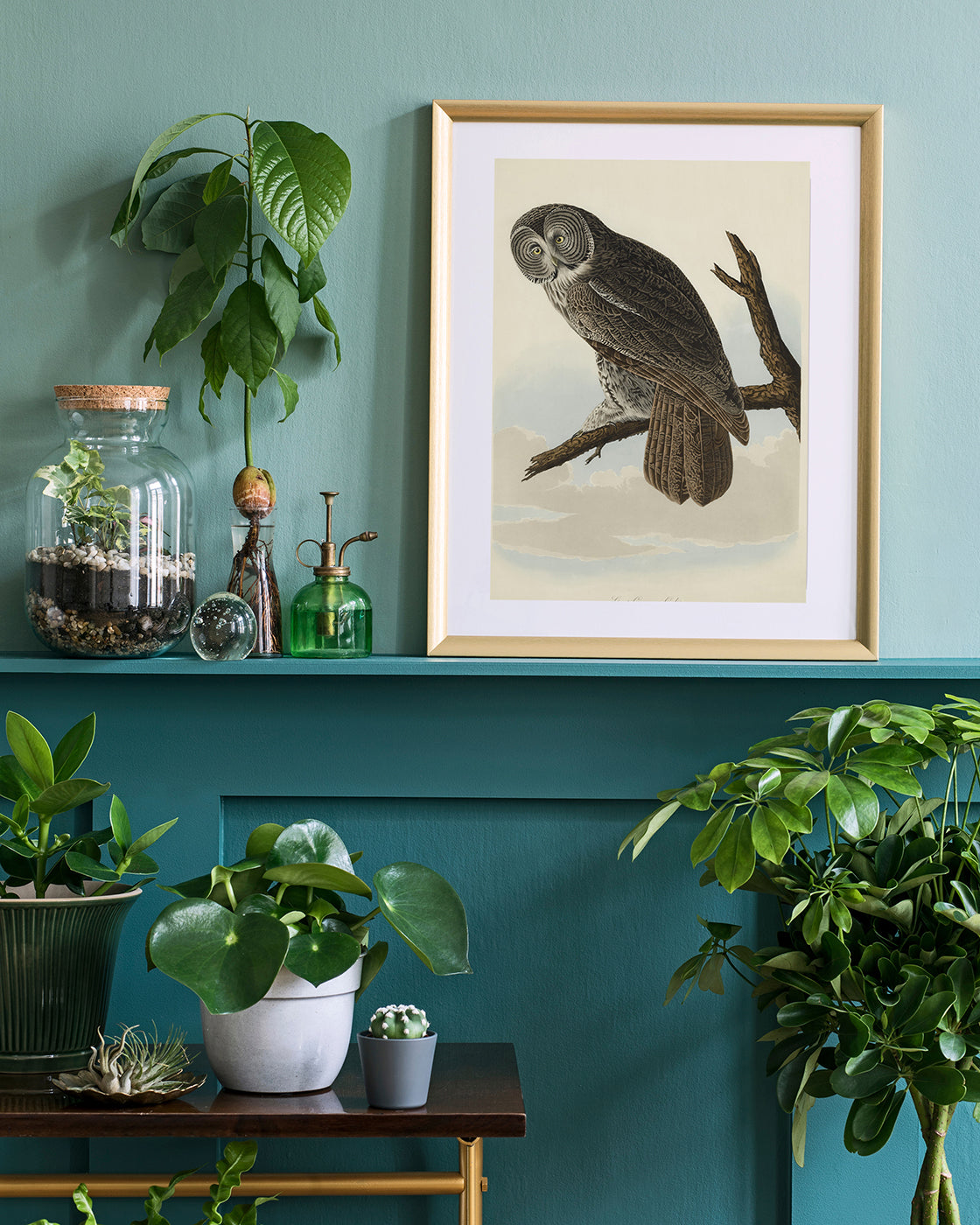 John James Audubon - Eule