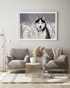 Husky im Winter