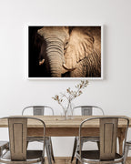 Elefant - Nahaufnahme