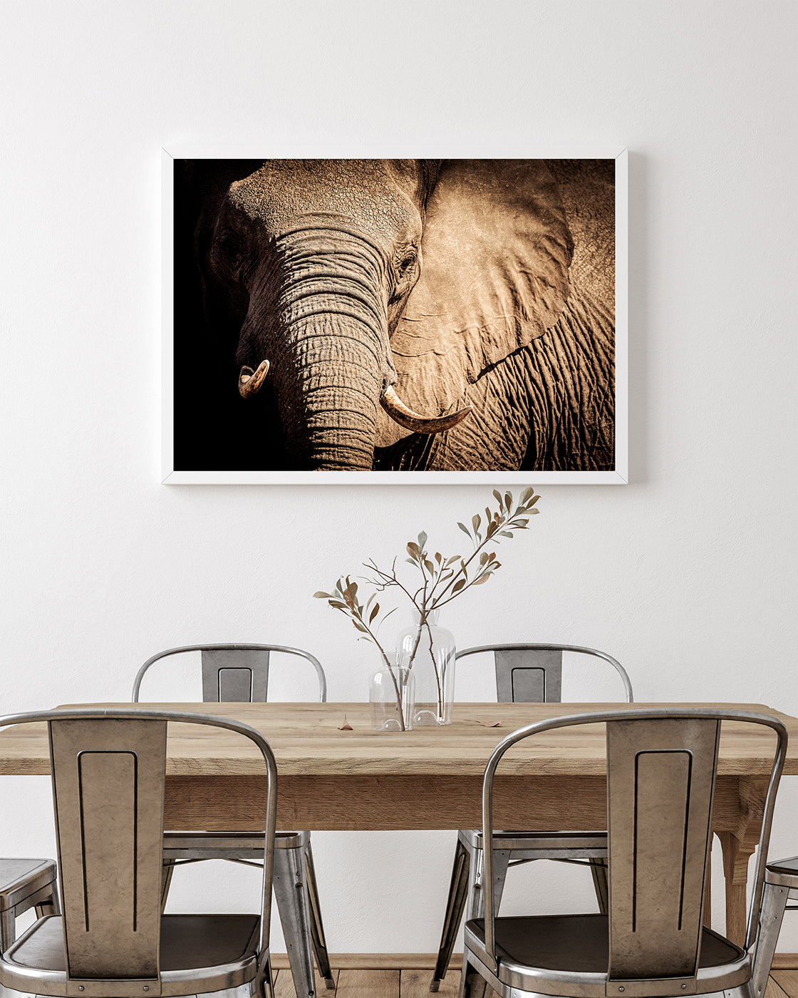 Elefant - Nahaufnahme