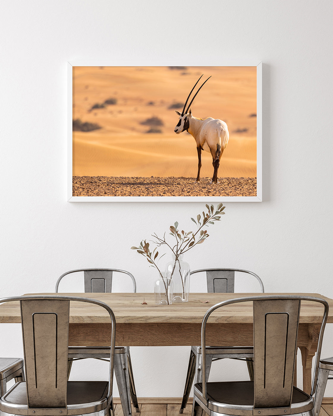 Südafrikanischer Spießbock - Oryx Gazella