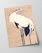 Itō Jakuchū - Zwei Kraniche