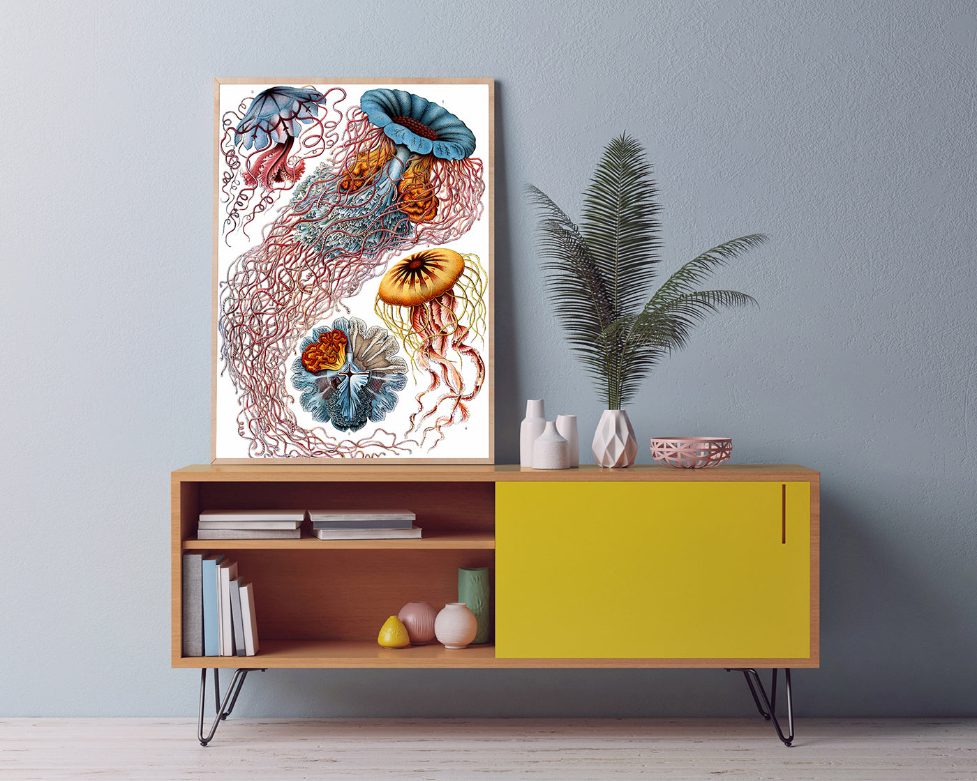 Ernst Haeckel - Quallen