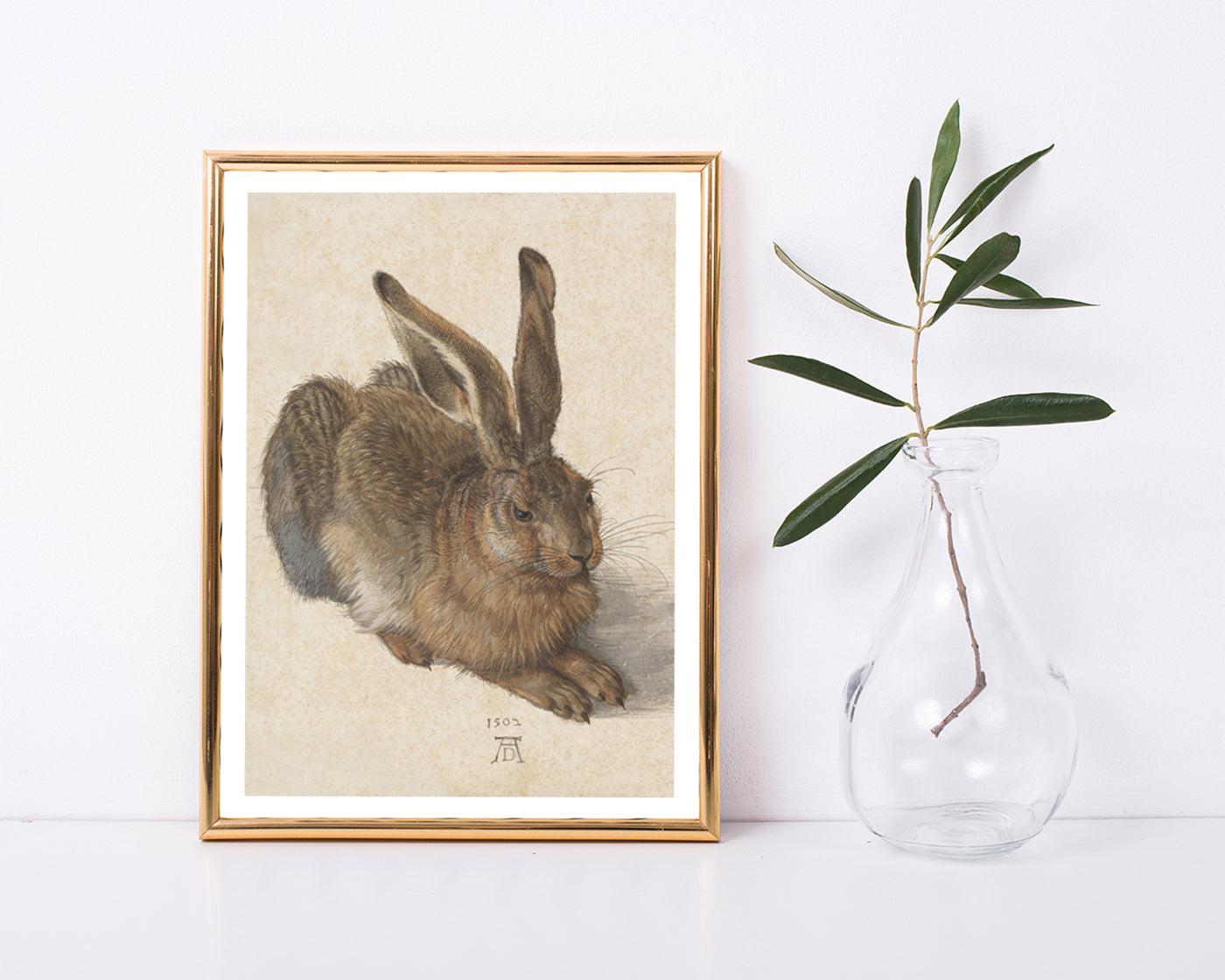 Albrecht Dürer - Feldhase