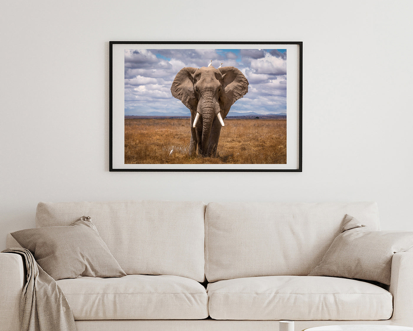 Afrikanischer Elefant