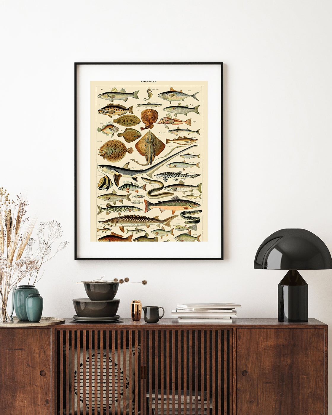 Adolphe Philippe Millot - Fische