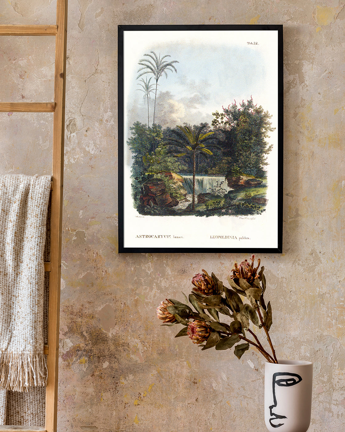 Astrocaryum - Dschungel