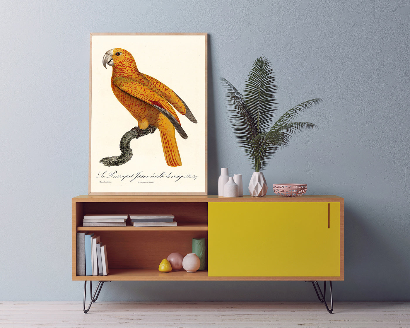 François Levaillant - Gelber Paradiesvogel