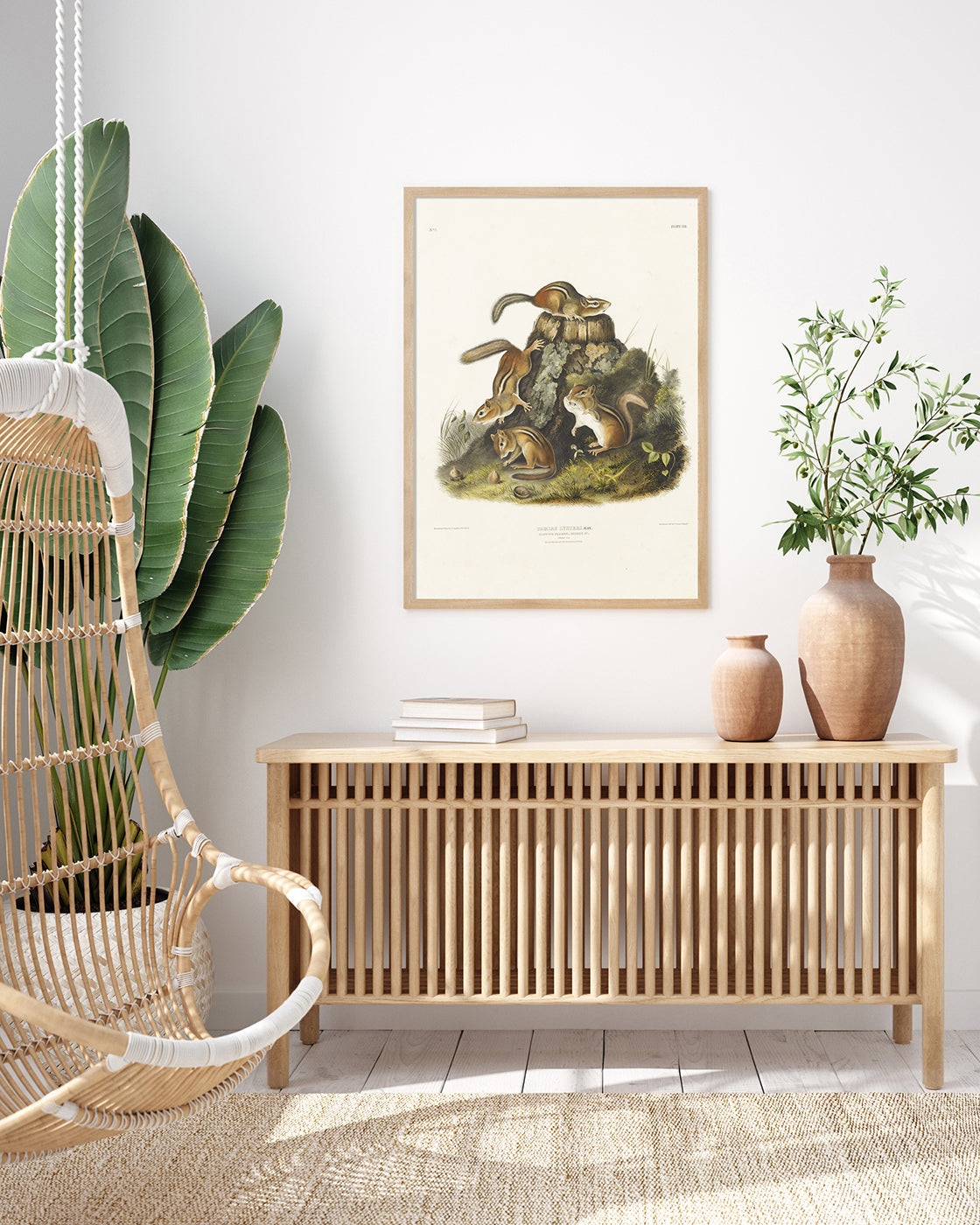 John James Audubon - Streifenhörnchen am Baumstamm