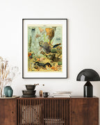 Adolphe Philippe Millot - Unterwasserwelt II