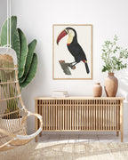 François Levaillant - Tukan Vogel