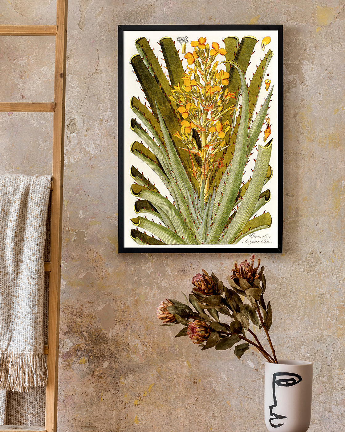 Bromelia Chrysantha - gelbe Blüten