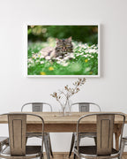 Katze in Blumenwiese