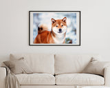 Shiba Inu