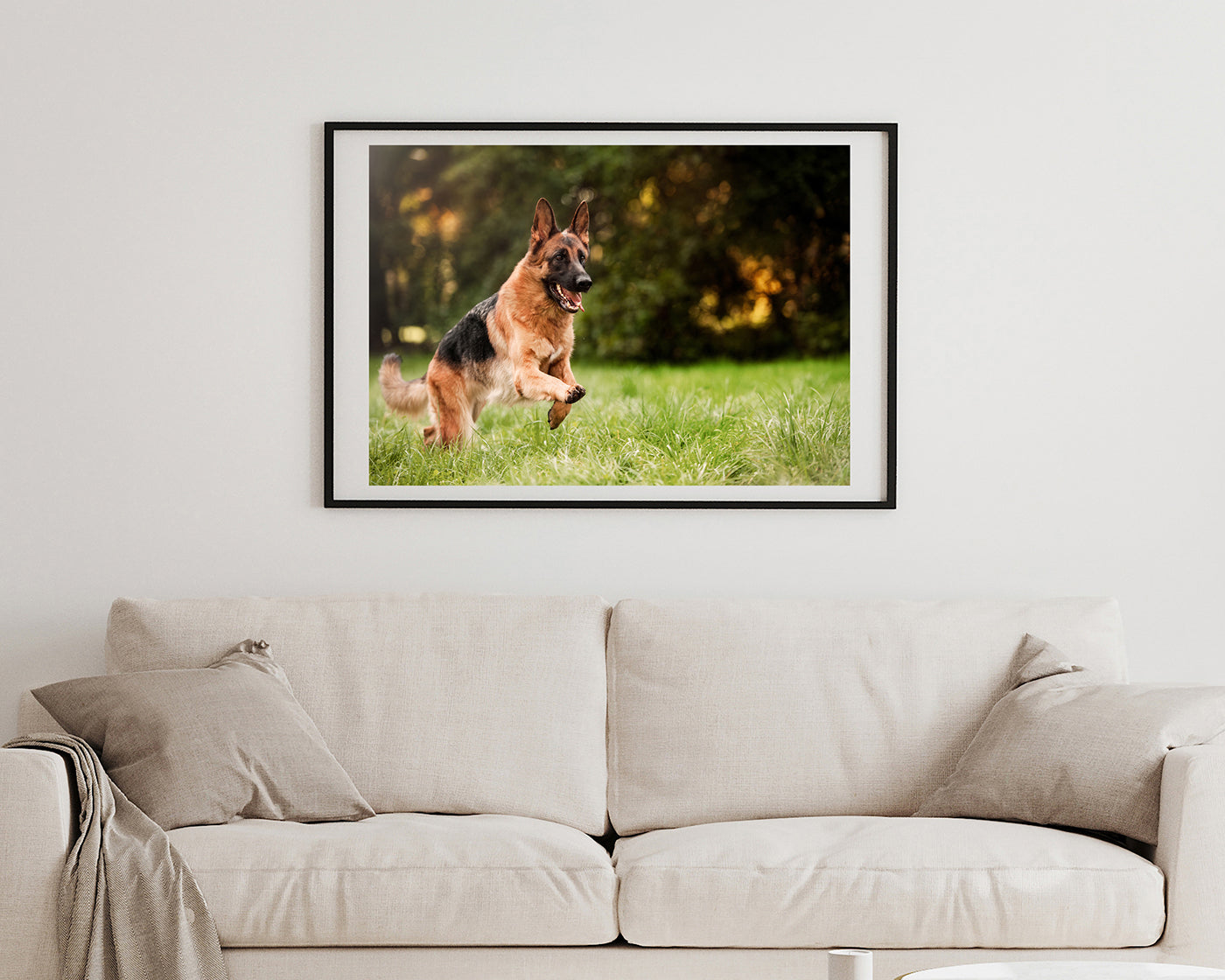 Rennender Schäferhund