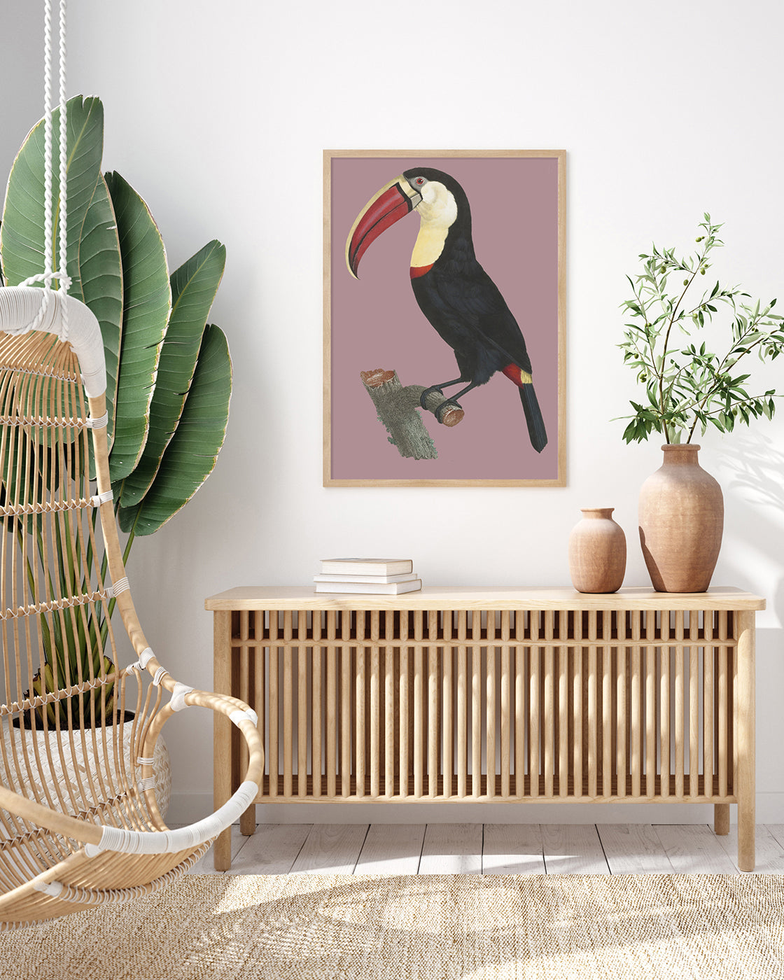 François Levaillant - Tukan auf lila Hintergrund